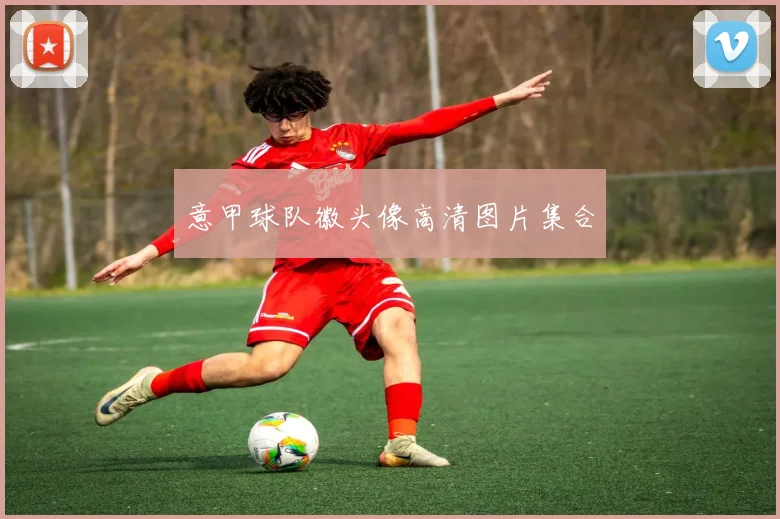 意甲球队徽头像高清图片集合